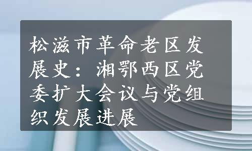 松滋市革命老区发展史：湘鄂西区党委扩大会议与党组织发展进展