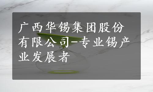广西华锡集团股份有限公司-专业锡产业发展者