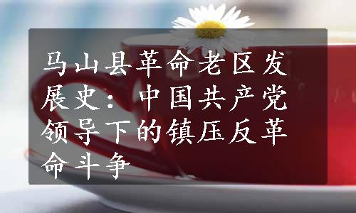 马山县革命老区发展史：中国共产党领导下的镇压反革命斗争
