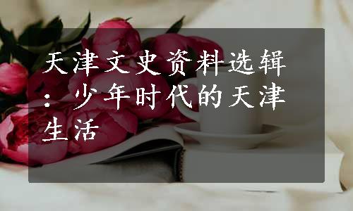天津文史资料选辑：少年时代的天津生活