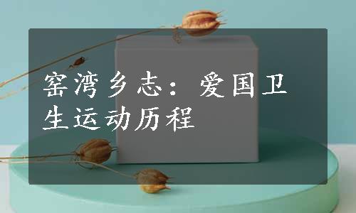 窑湾乡志：爱国卫生运动历程