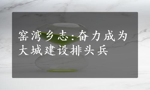 窑湾乡志:奋力成为大城建设排头兵