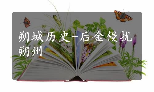 朔城历史-后金侵扰朔州