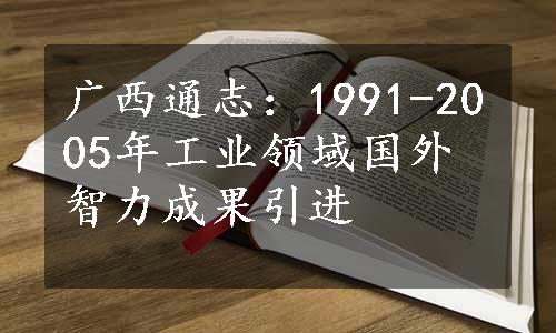 广西通志：1991-2005年工业领域国外智力成果引进