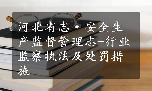 河北省志·安全生产监督管理志-行业监察执法及处罚措施