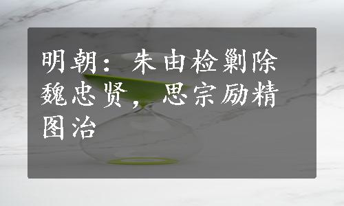 明朝：朱由检剿除魏忠贤，思宗励精图治