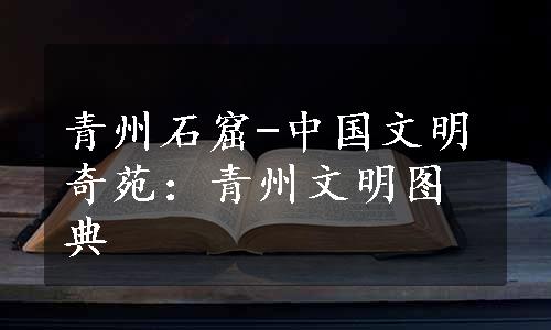 青州石窟-中国文明奇苑：青州文明图典