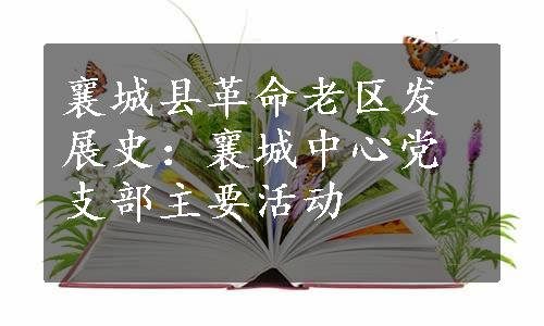 襄城县革命老区发展史：襄城中心党支部主要活动