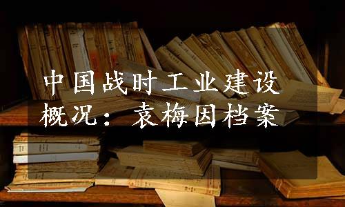 中国战时工业建设概况：袁梅因档案