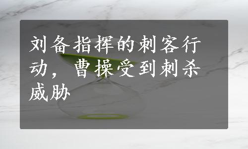 刘备指挥的刺客行动，曹操受到刺杀威胁