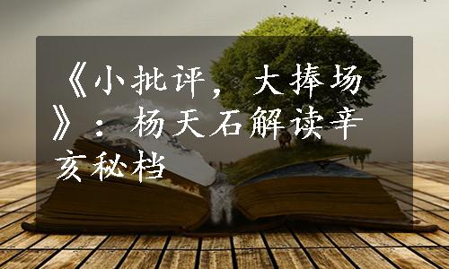 《小批评，大捧场》：杨天石解读辛亥秘档