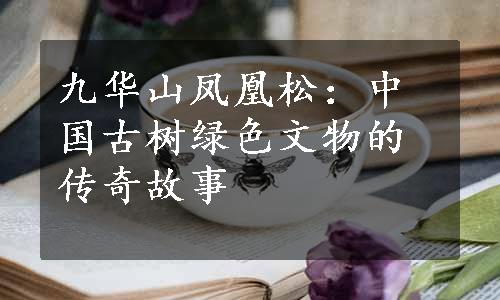 九华山凤凰松：中国古树绿色文物的传奇故事