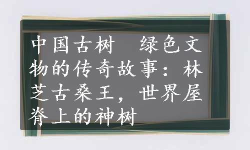 中国古树　绿色文物的传奇故事：林芝古桑王，世界屋脊上的神树