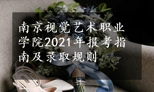 南京视觉艺术职业学院2021年报考指南及录取规则