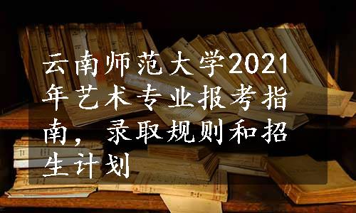 云南师范大学2021年艺术专业报考指南，录取规则和招生计划