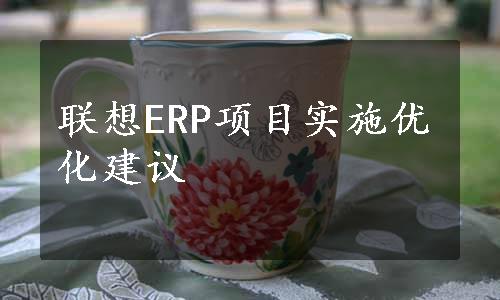 联想ERP项目实施优化建议
