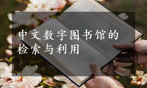 中文数字图书馆的检索与利用
