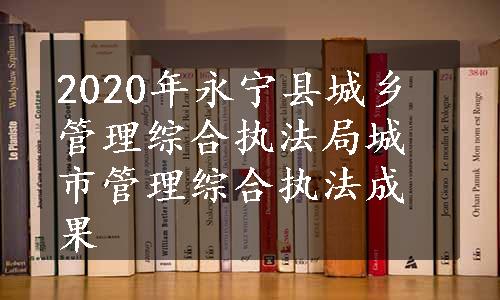 2020年永宁县城乡管理综合执法局城市管理综合执法成果