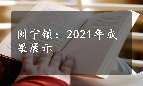 闽宁镇：2021年成果展示