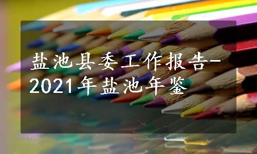 盐池县委工作报告-2021年盐池年鉴