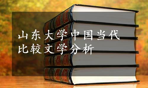 山东大学中国当代比较文学分析 