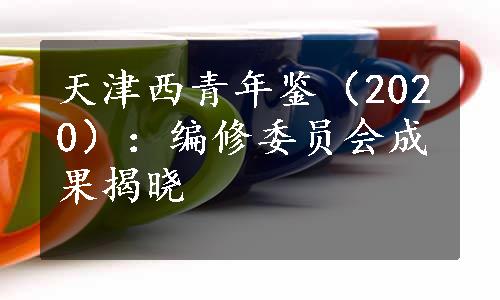 天津西青年鉴（2020）：编修委员会成果揭晓