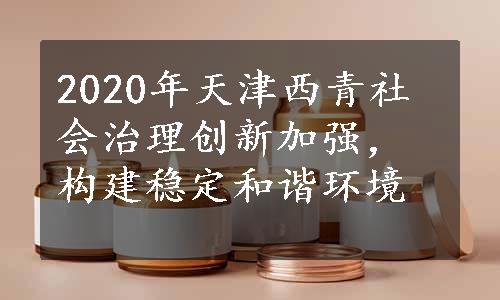 2020年天津西青社会治理创新加强，构建稳定和谐环境