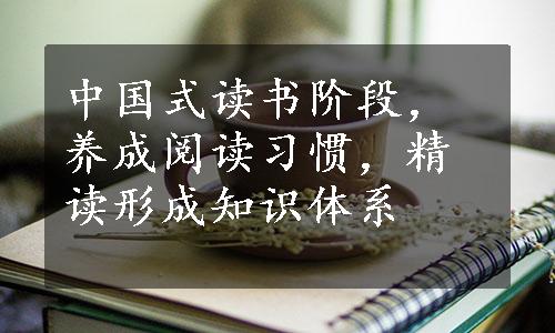 中国式读书阶段，养成阅读习惯，精读形成知识体系