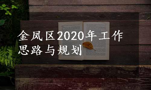 金凤区2020年工作思路与规划