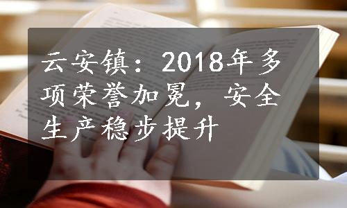 云安镇：2018年多项荣誉加冕，安全生产稳步提升