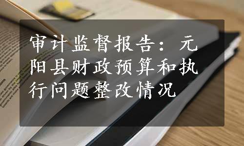 审计监督报告：元阳县财政预算和执行问题整改情况