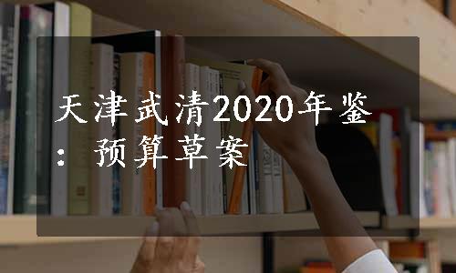 天津武清2020年鉴：预算草案