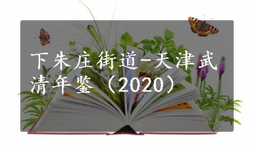 下朱庄街道-天津武清年鉴（2020）