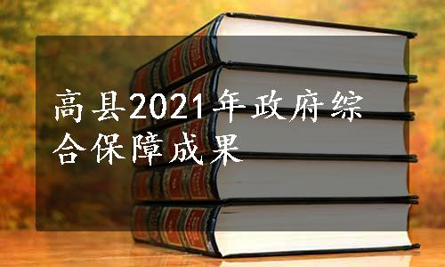 高县2021年政府综合保障成果