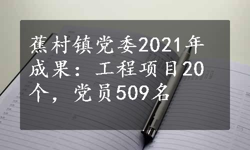 蕉村镇党委2021年成果：工程项目20个，党员509名