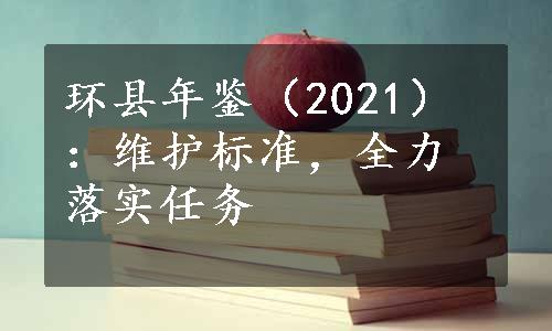 环县年鉴（2021）：维护标准，全力落实任务