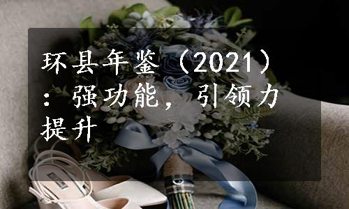 环县年鉴（2021）：强功能，引领力提升
