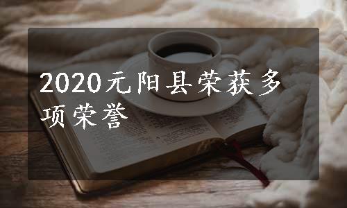 2020元阳县荣获多项荣誉