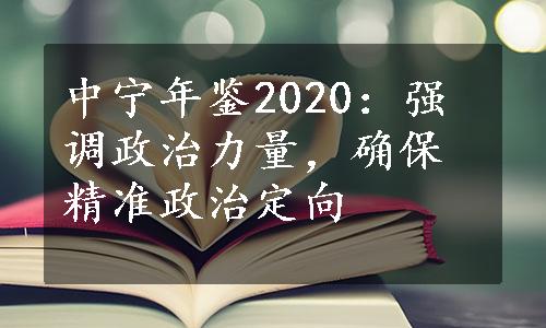 中宁年鉴2020：强调政治力量，确保精准政治定向