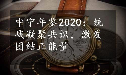 中宁年鉴2020：统战凝聚共识，激发团结正能量