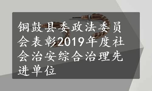 铜鼓县委政法委员会表彰2019年度社会治安综合治理先进单位