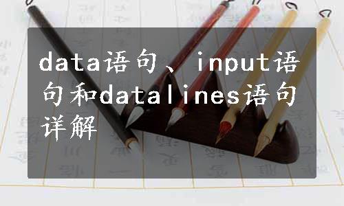 data语句、input语句和datalines语句详解