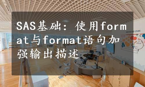 SAS基础：使用format与format语句加强输出描述