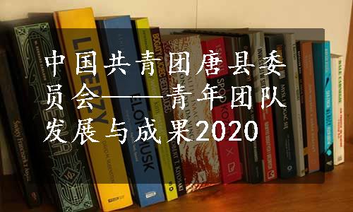 中国共青团唐县委员会——青年团队发展与成果2020