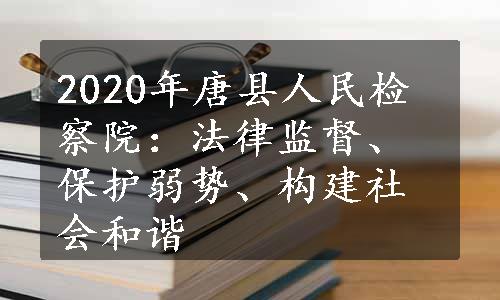 2020年唐县人民检察院：法律监督、保护弱势、构建社会和谐