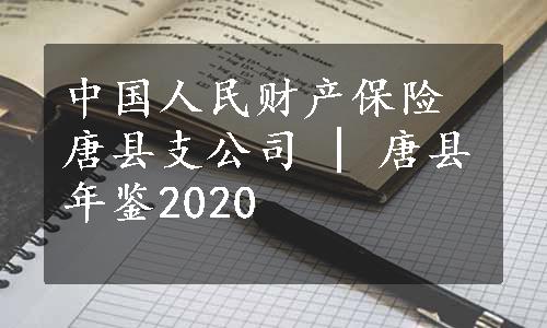 中国人民财产保险唐县支公司 | 唐县年鉴2020