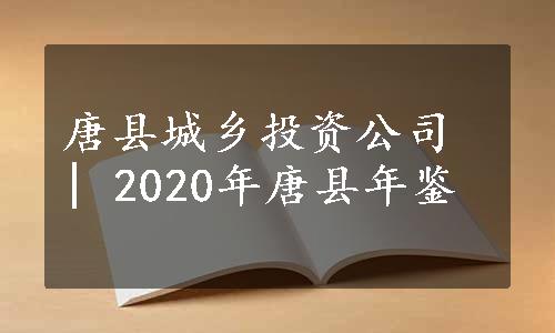 唐县城乡投资公司 | 2020年唐县年鉴