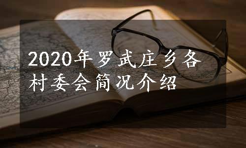 2020年罗武庄乡各村委会简况介绍