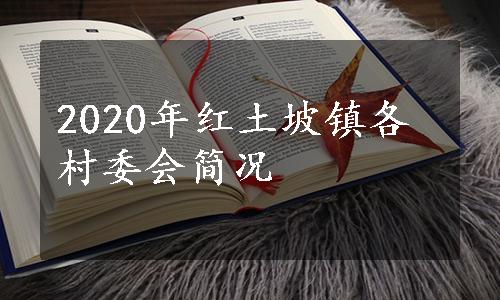 2020年红土坡镇各村委会简况