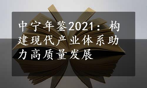 中宁年鉴2021：构建现代产业体系助力高质量发展